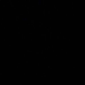 Meet your Posher, Ty